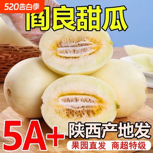 现摘头茬阎良甜瓜当季新鲜水果特价超甜蜜瓜时令白皮香瓜