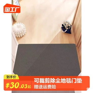 简约入户门丝圈地垫玄关大门口蹭土脚垫子pvc可裁剪除尘地毯门垫