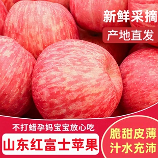 正宗山东烟台红富士苹果新鲜水果应当季现摘整箱脆甜多汁冰糖心甜