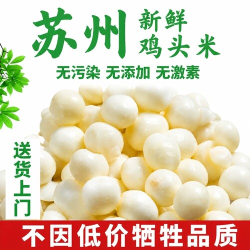苏州特产芡实正宗太湖大颗粒大果