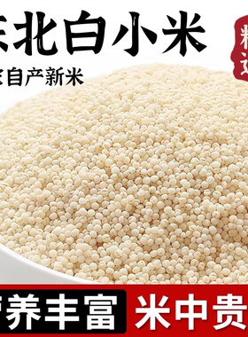 25年白小米农家自产米油浓稠丰富