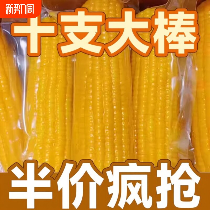2025年东北黄糯玉米香糯玉米早餐真空包装糯玉米棒黄金甜玉米黏甜