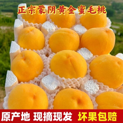 【蜜桃之乡】山东蒙阴黄桃当季新鲜孕妇水果水蜜桃子脆甜锦绣黄桃