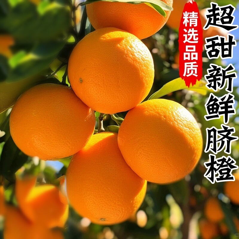 正宗纽荷尔脐橙大果新鲜水果橙子净重湖南特产应季果冻甜橙