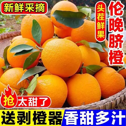 【正宗赣南脐橙】假一罚十