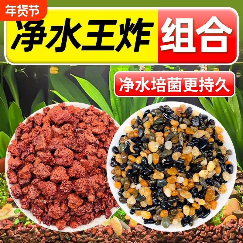 天然鱼缸造景底砂火山石溪流石套餐专用铺底石头颗粒古法水质养鱼,宠物/宠物食品及用品,造景/装饰,淘宝优惠券,粉丝福利购,淘宝优惠卷