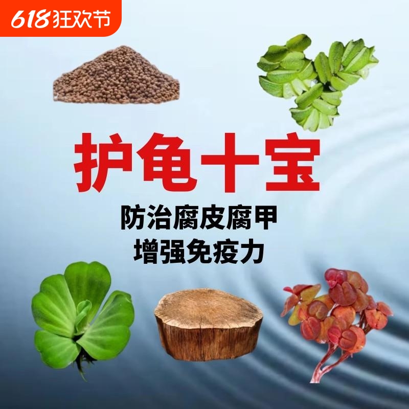 养龟专用缸小宠物龙眼木晒台巴西龟造景套餐净化水质水培水草
