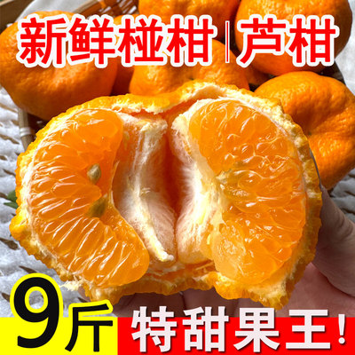 新鲜椪柑芦柑碰干橘子蜜桔新鲜当季应季罕见生鲜时令整箱水果批发