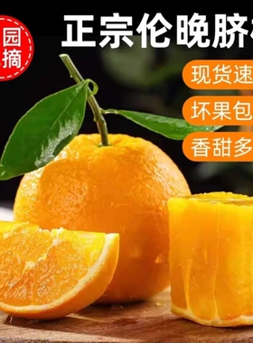 秭归正宗伦晚脐橙橙子甜橙湖北当季新鲜榨汁水果包邮整箱产地直发