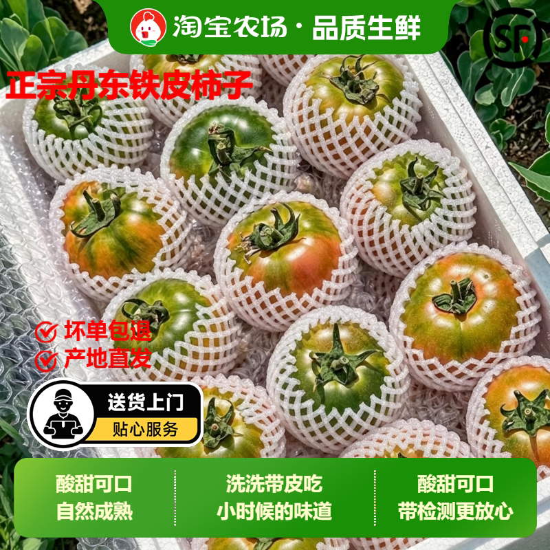 丹东铁皮草莓柿子新鲜生吃水果番茄绿腚碱地铁皮西红柿自然熟现摘