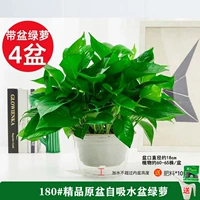 180#1 1 1 1 1 1 1 1 [4] Горшка для доставки бассейна+10 жира 2