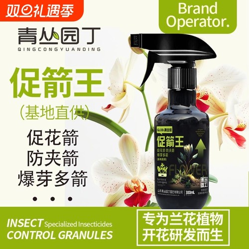 促花箭防夹箭青丛园丁兰花专用