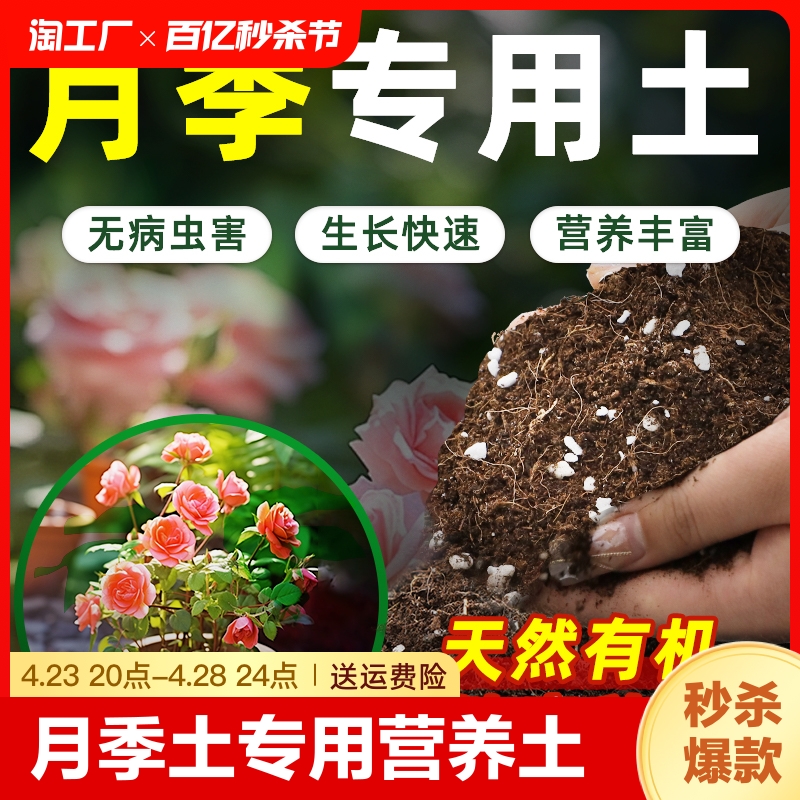 月季土专用土蔷薇花土月季花