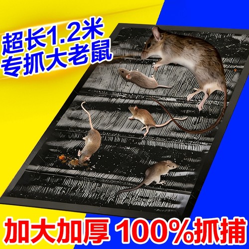 强力粘鼠板魔毯老鼠贴家用一窝端抓粘大老鼠胶正品驱捕鼠神器超强