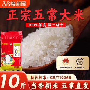 正宗五常大米2025年新米10斤东北长粒香稻花香GB/T19266大