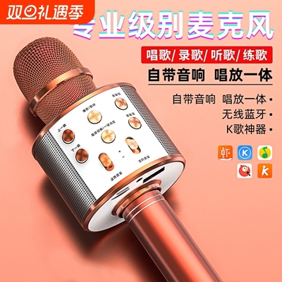 家用通用全民K歌蓝牙话筒麦克风