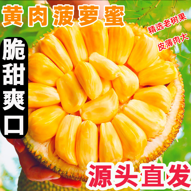 海南黄肉菠萝蜜孕妇新鲜水果当季干苞脆甜波罗蜜一整个