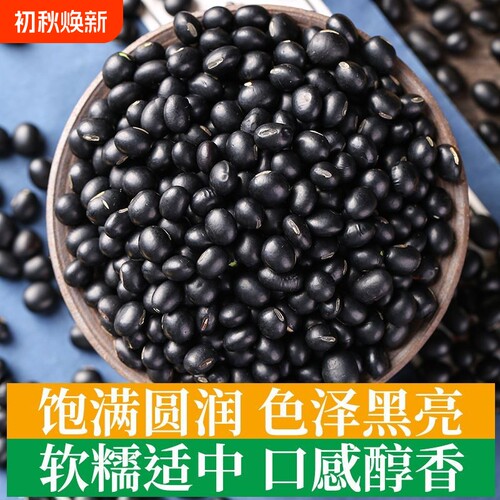 黑豆绿芯云南农家青仁乌豆粗粮五谷杂粮可打豆浆绿心黑皮新货