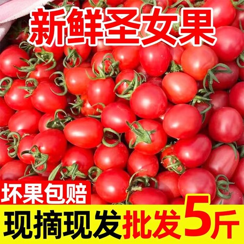 桂百银泰新鲜圣女果当季蔬果