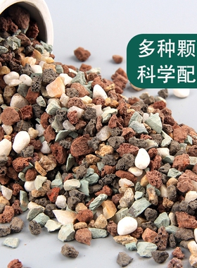 多肉全颗粒土专用营养土铺面石颗粒彩虹石火山石麦饭石多肉颗粒土