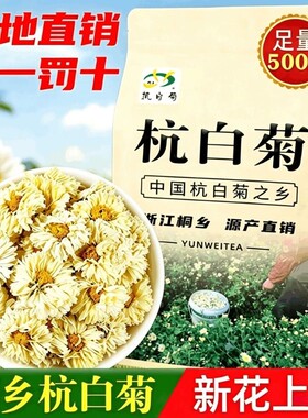 菊花茶杭白菊官方旗舰店正宗桐乡特产级新胎菊花散装浙江杭州贡菊