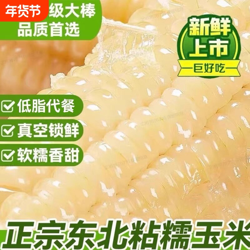 东北玉米新鲜糯玉米棒真空装包加热即食香甜粘黏糯白苞米白糯玉米