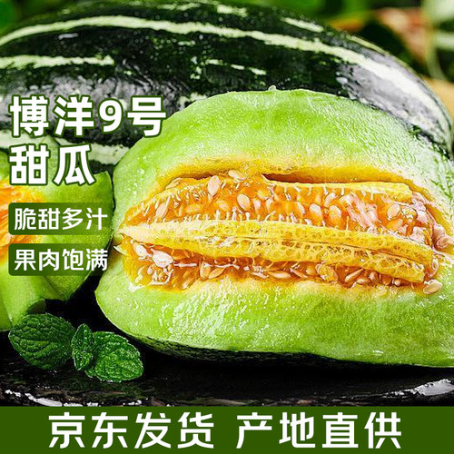 正宗山东博洋9号甜瓜新鲜水果应当季现摘羊角脆甜香蜜瓜大果整箱