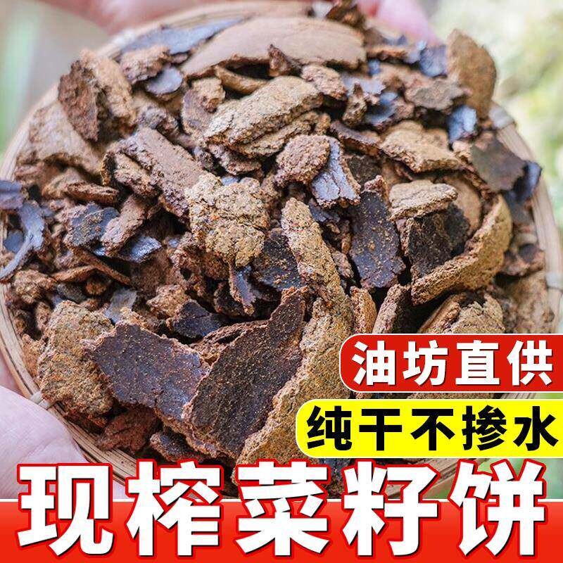 农家肥包邮钓鱼R饵菜籽饼油菜子饼肥料油枯饼有机肥蔬菜种菜植物 - 实物图