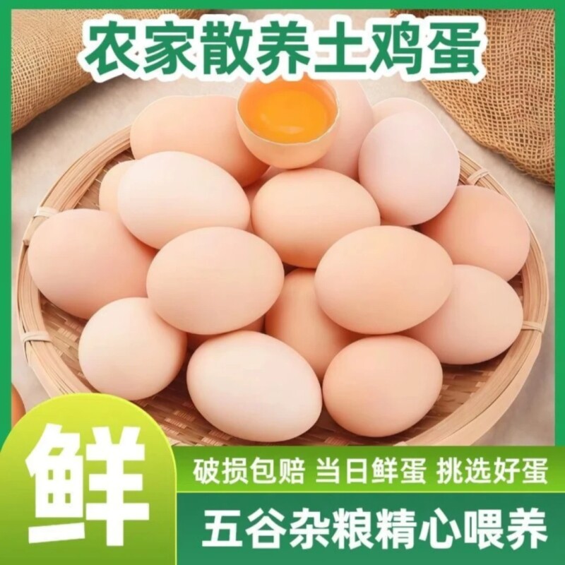 50枚新鲜鸡蛋鲜鸡蛋土鸡蛋农家笨鸡蛋散养农村草鸡蛋正宗柴鸡蛋