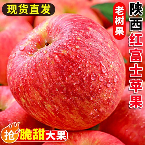 新鲜苹果水果应当季一整箱脆甜包邮批发10红富士冰糖心丑苹果斤