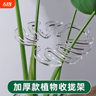 龟背竹固定神器支撑杆架枝干收拢架植物防倒伏支架绿植花架