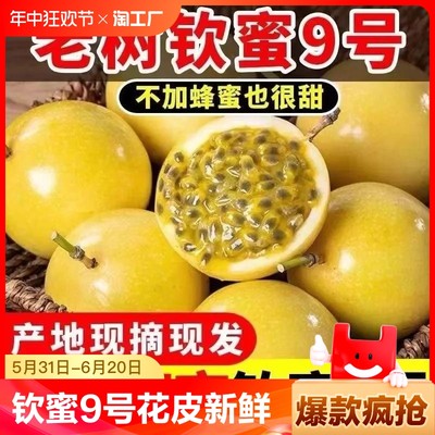 钦蜜9号花皮黄金百香果新鲜包邮5斤现摘孕妇水果当季鸡蛋果大纯甜