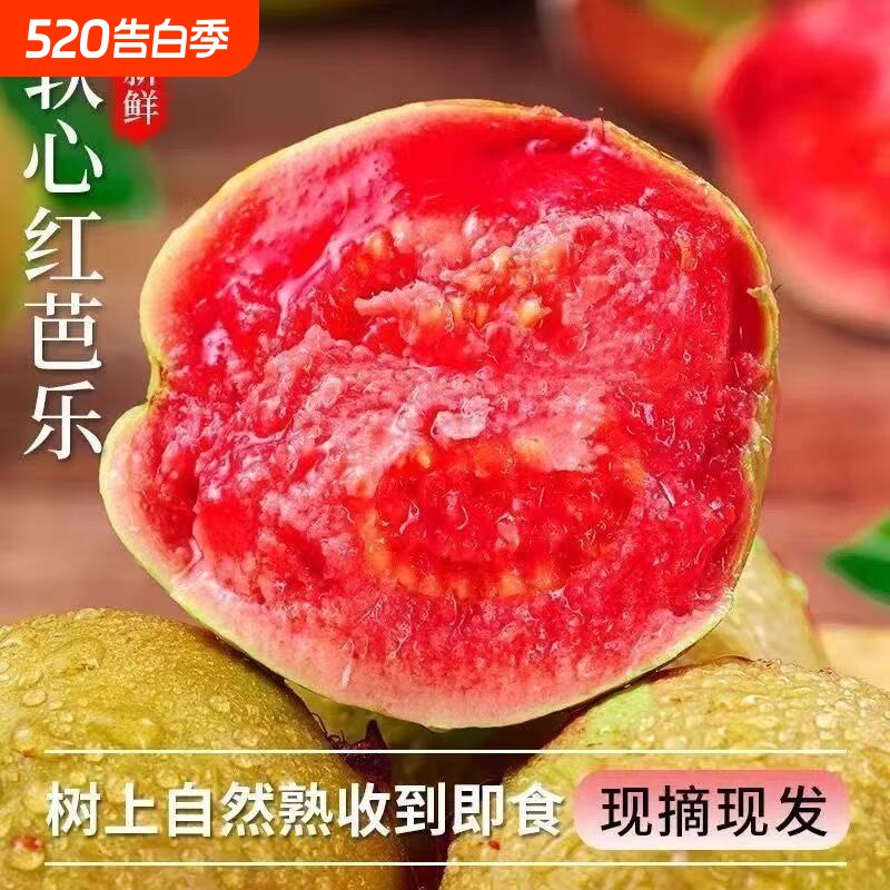 广东冰淇淋红心芭乐番石榴新鲜水果当季软糯奶油胭脂红树熟软心