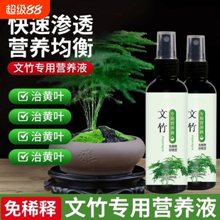 四季爆芽文竹专用肥营养液长治叶子发黄枯瘦干尖烂根落叶植物黄叶