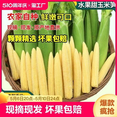 新鲜玉米笋沙拉蔬菜煲汤食材