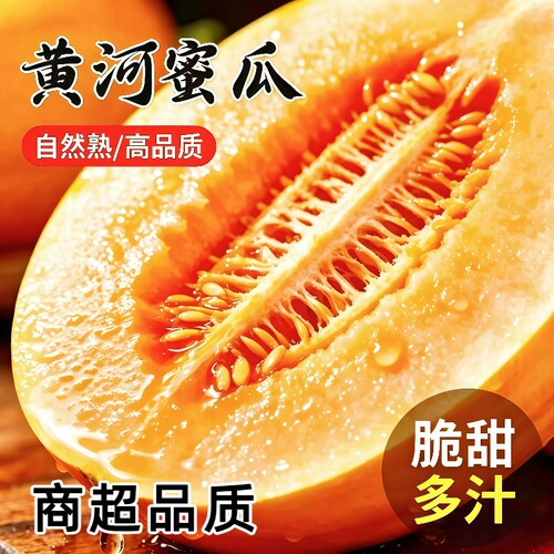 正宗民勤蜜瓜黄河蜜瓜沙地种植头茬现摘黄金甜瓜当季新鲜水果整箱