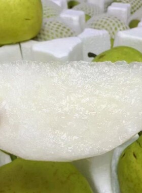 安徽砀山当季青皮蜜梨翠梨脆甜多汁产地直发皮薄新鲜香梨水果