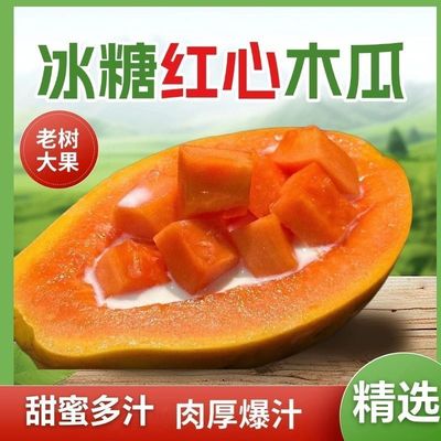 广西树上熟红心木瓜牛奶木瓜新鲜水果整箱青木瓜牛奶个大产妇水果