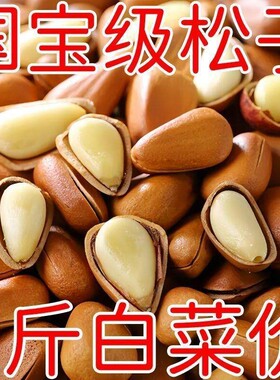 东北松子大颗粒500g手剥开口休闲零食干果送礼新货坚果非巴西松籽