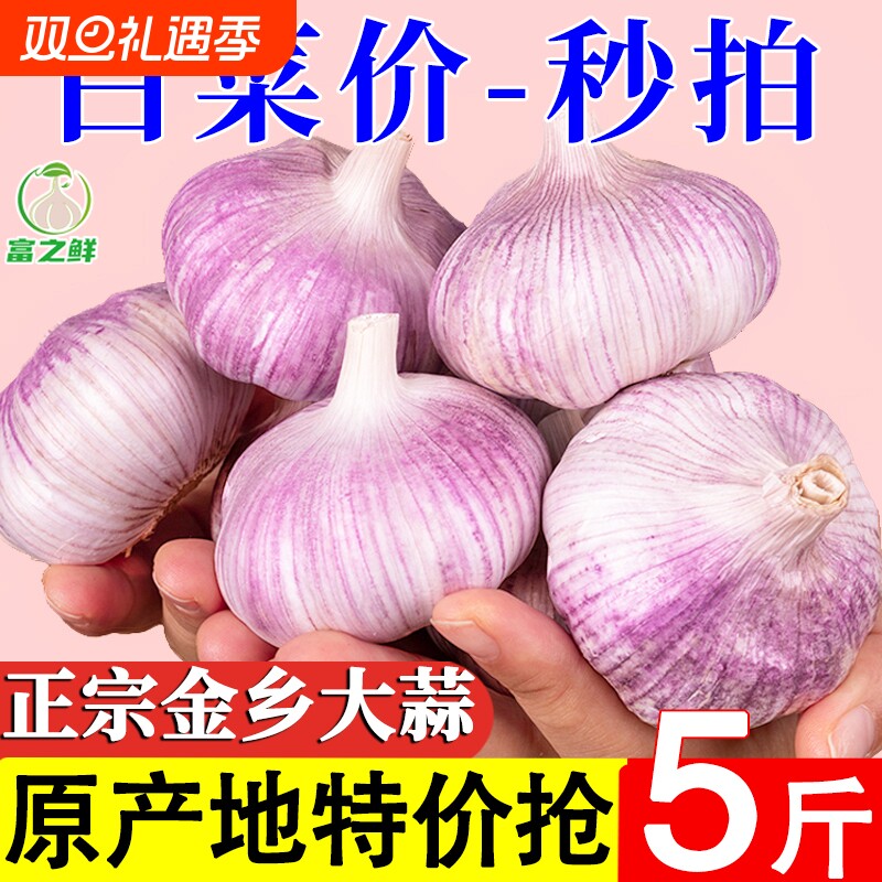 产地价山东紫皮大蒜头干蒜农家自种火锅蔬菜红皮大蒜新鲜种植自提