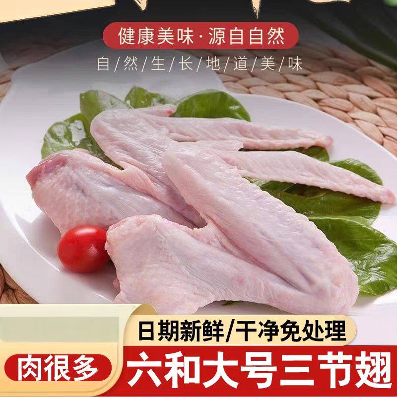 六和鸭全翅鸭三节翅新鲜冷冻鸭翅膀卤味烧烤批发鸭货家用商用食材,水产肉类/新鲜蔬果/熟食,鸭肉/鸭肉制品,淘宝优惠券,粉丝福利购,淘宝优惠卷