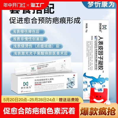 医用人表皮因子凝胶重组iii型人源化三型胶原蛋白外伤烧烫伤修护