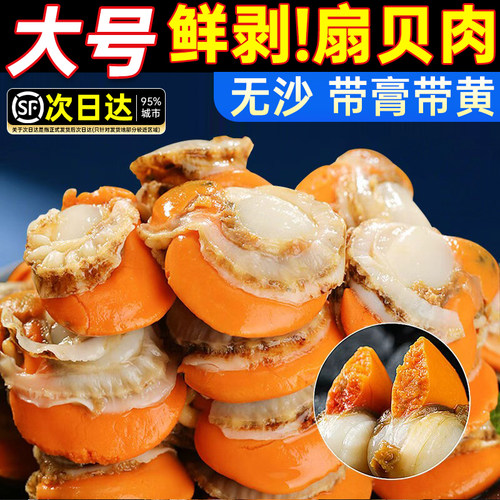 新鲜冷冻大个扇贝肉海鲜红贝烧