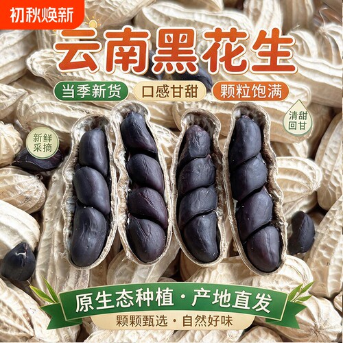 .云南特产富硒带壳原味黑花生2026年新货黑皮花生晒干生熟黑金刚