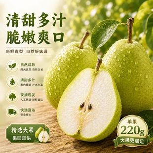 砀山新鲜水果正宗青皮梨皇冠水果梨当季时令整箱包邮雪梨蜜梨现摘