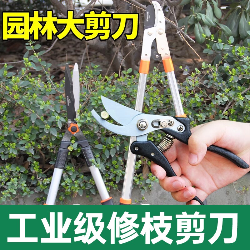 粗枝剪园林剪大剪刀宏典园林剪刀图片