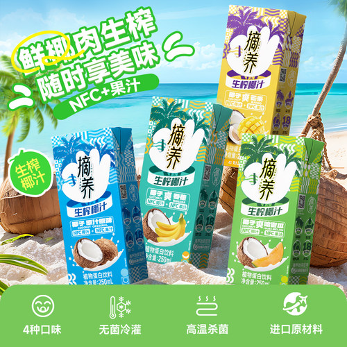 摘养椰汁椰子汁椰奶蛋白饮料250ml*10瓶多规格奶昔生榨椰子奶果汁