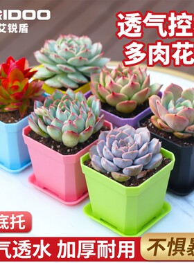 大号彩色方盆多肉植物育苗种植小花盆10cm大黑方塑料花盆方形