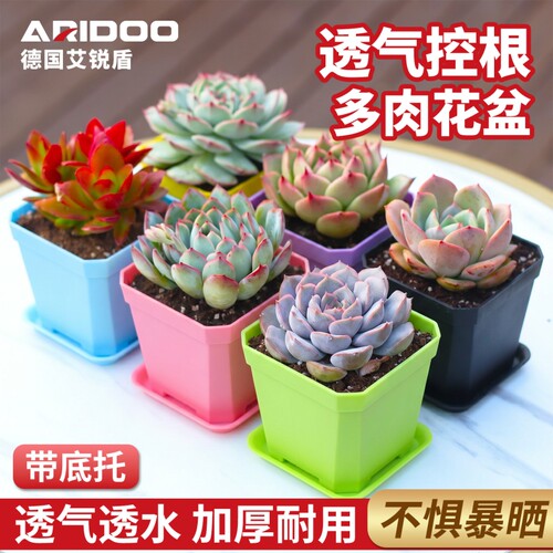 大号彩色方盆多肉植物育苗小花盆10cm大黑方塑料花盆方形托盘盆景