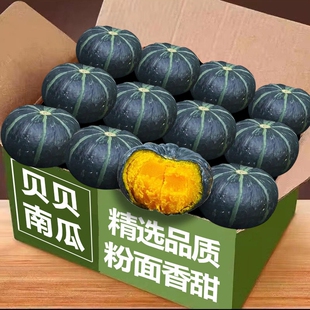 正宗贝贝南瓜小南瓜蒸煮老瓜精选新鲜辅食惠和粉面香甜板栗味